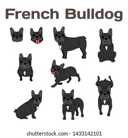 French bulldog illustration,dog poses,dog breed