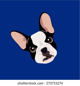 French Bulldog - Illustrations Of Dog Face.