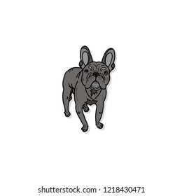 French Bulldog isolated on white background. Vector illustration.