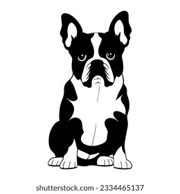 French bulldog isolated on white background. Flat Vector illustration
