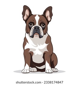 French bulldog isolated on white background. Flat Vector illustration