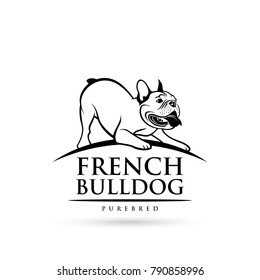 French bulldog - isolated outlined vector illustration