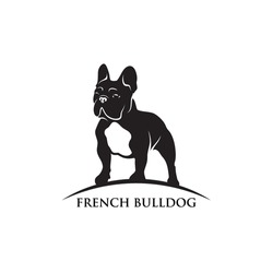 French Bulldog - Isolated Vector Illustration