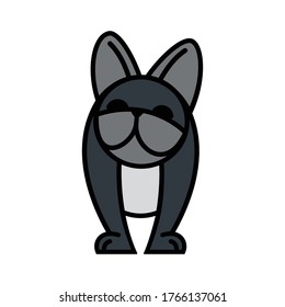 French bulldog - isolated vector illustration