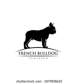 French bulldog - isolated vector illustration