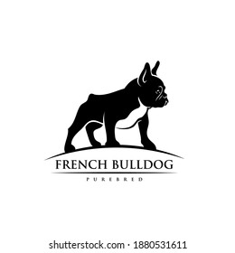 French bulldog - isolated vector illustration