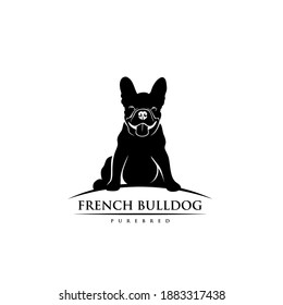 French bulldog - isolated vector illustration