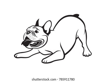 French bulldog - isolated vector illustration