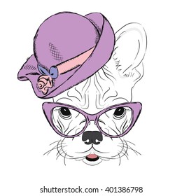 French bulldog in a ladies' hat. Vector illustration.