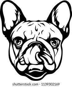 French Bulldog lap hot dog breed face head isolated pet animal domestic pet canine puppy purebred pedigree hound portrait peeking paws smiling smile happy art artwork illustration design set