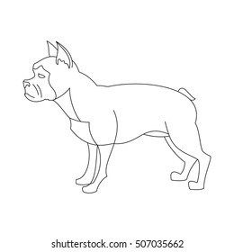 French bulldog linear