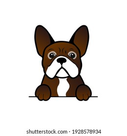 French bulldog logo isolated on white background. Vector flat illustration.