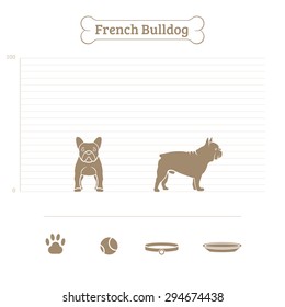 French Bulldog on the dimensional scale. Items for dogs. Face and profile. Vector illustration.