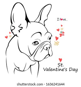 French bulldog on the holiday. Happy Valentine's Day dog.
Cartoon French Bulldog on. Vector illustration.
close up portrait of the domestic dog French Bulldog breed.