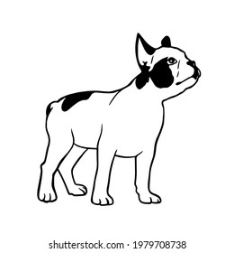 french bulldog pappy in graphic style. Creative illustrations
Clipart file for cutting vinyl decal and printing svg