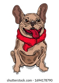 French bulldog, pedigreed dog with a scarf, vector isolated illustration with a French bulldog, dog with tongue sticking out print, cute pet vector, printing with animals, design of cards, wallpaper.