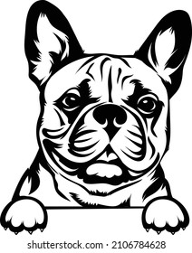 French Bulldog Peeking Dog Lovers Stock Vector (Royalty Free ...