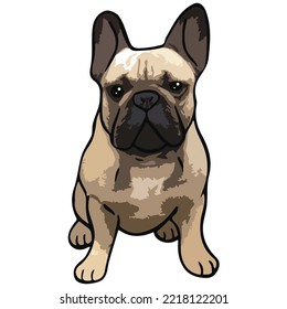 French Bulldog Pet Colored Drawing