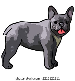 French Bulldog Pet Colored Drawing