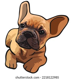 French Bulldog Pet Colored Drawing