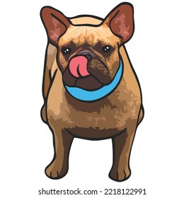French Bulldog Pet Colored Drawing