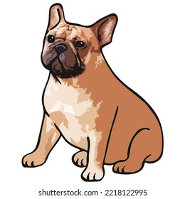 French Bulldog Pet Colored Drawing