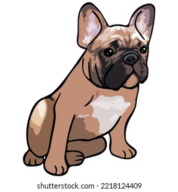 French Bulldog Pet Colored Drawing