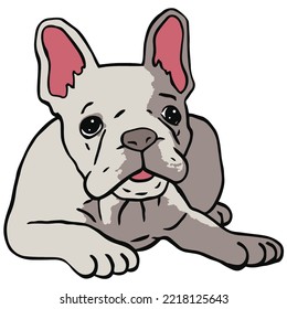 French Bulldog Pet Colored Drawing