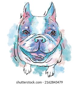 Französischer Bulldog-Haustier malte bunt in Aquarell und Skizze auf weißem Hintergrund.