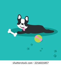 French bulldog playing with ball and bone. Concept for dog hair salon, grooming shop, store for pets.