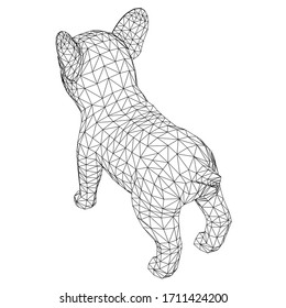 French Bulldog polygonal lines illustration. Abstract vector dog on the white background