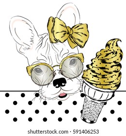 French bulldog with a portion of ice cream. Vector illustration.