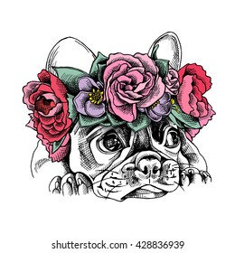 French bulldog Portrait in a Floral head wreath. Vector illustration.