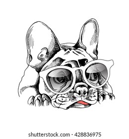 French bulldog Portrait in a glasses. Vector illustration.