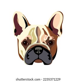 French bulldog portrait. Hand drawn vector illustration. Flat color design.