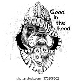 French Bulldog Portrait In A Hood. Vector Black And White Illustration.