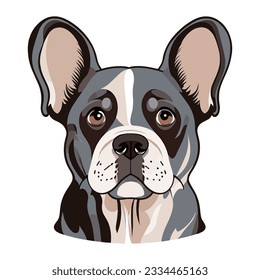 French bulldog portrait isolated on white background. Flat Vector illustration