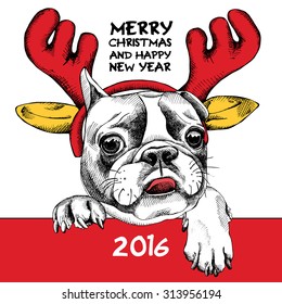 French Bulldog portrait in mask Santa's antler reindeer. Vector illustration.