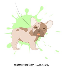 French bulldog portrait on a background of blots. Head of dog vector illustration. Pretty puppy cartoon character.
