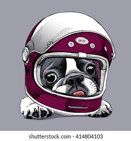 French Bulldog portrait in a racer modern Helmet. Vector illustration.