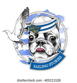 French bulldog portrait in a sailor's cap and with seagull on blue striped background. Vector illustration.