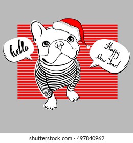 French bulldog Portrait in a Santa's hat . Vector illustration.