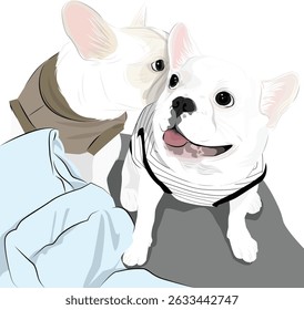 French bulldog, puppy, cute dog, White body, animal, pet friendly