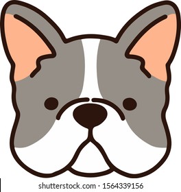 French Bulldog puppy front face outlined