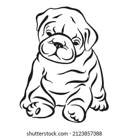 French bulldog puppy. Hand drawn cartoon portrait vector illustration. Funny french bulldog puppy sitting and looking forward.Vector black and white drawing.