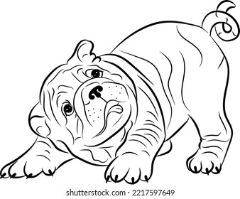 French bulldog puppy. Hand drawn cartoon portrait vector illustration. Funny french bulldog puppy sitting and looking forward.Vector black and white drawing.