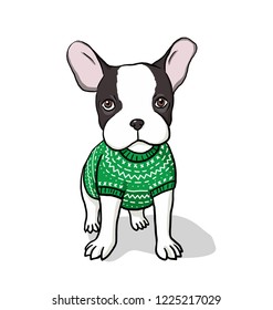 French bulldog puppy illustration. Dressed up cute dog in green sweater on white background