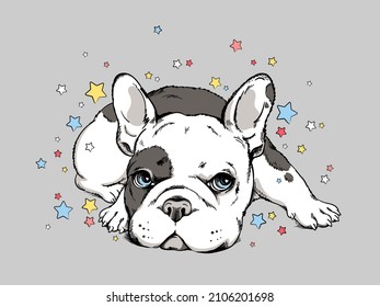 Сute french bulldog puppy. Image for printing on any surface