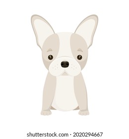 A French bulldog puppy on a white background. Cartoon Dog design,