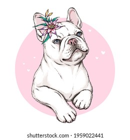 French bulldog puppy sketch. A dog with an exotic flower. Vector illustration in hand-drawn style Stylish image for printing on any surface